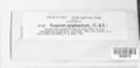Image Associated With the Occurence